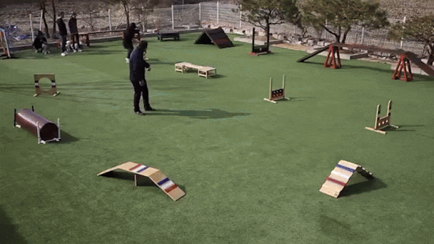 822d5a9db16a65bf68647d8fae93db29_1724806603_8929.gif